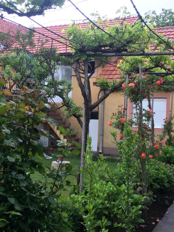 Apartman Lili Cetinje Eksteriør bilde